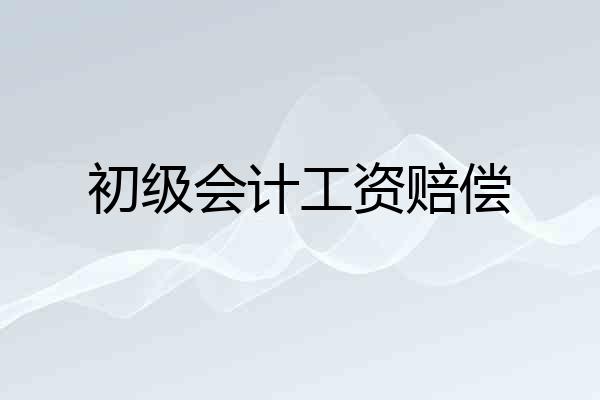 初级会计工资赔偿