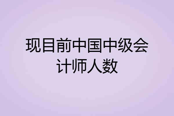 现目前中国中级会计师人数
