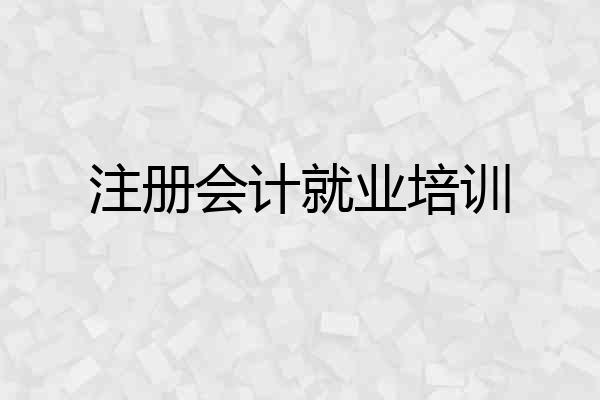 注册会计就业培训