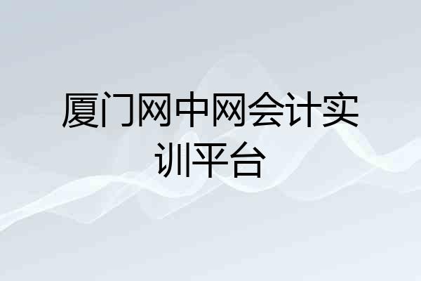 厦门网中网会计实训平台