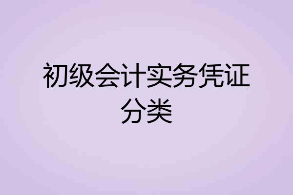 初级会计实务凭证分类