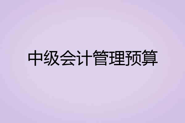 中级会计管理预算