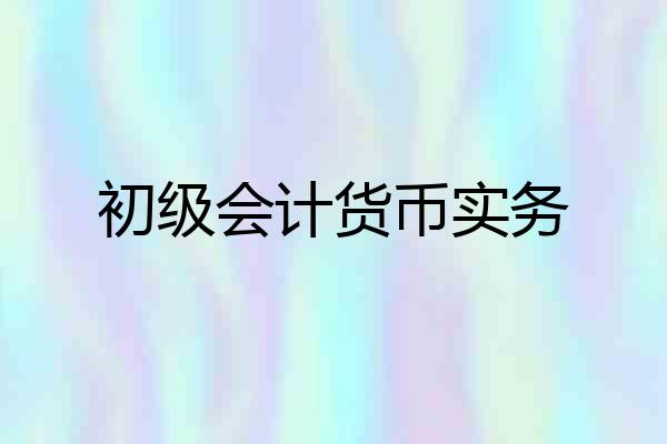 初级会计货币实务