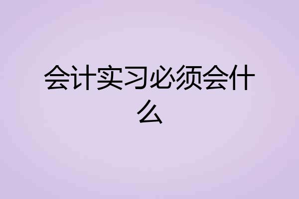 会计实习必须会什么