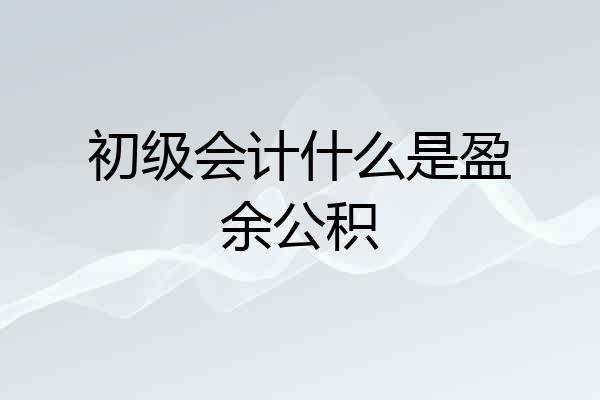初级会计什么是盈余公积