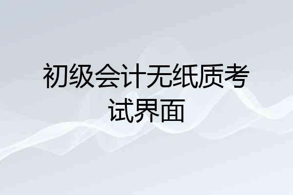 初级会计无纸质考试界面