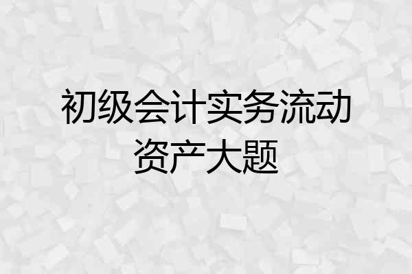 初级会计实务流动资产大题