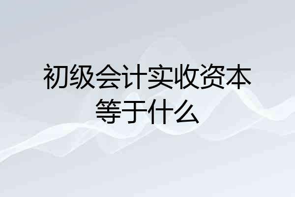 初级会计实收资本等于什么
