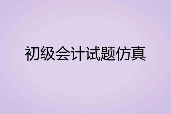 初级会计试题仿真