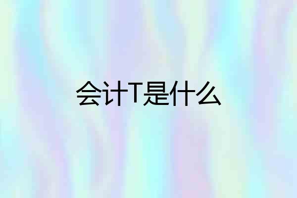 会计T是什么