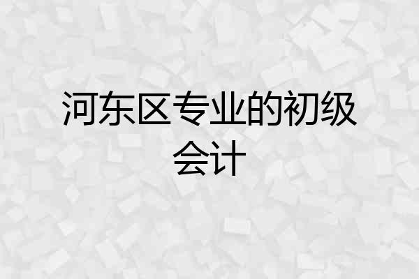 河东区专业的初级会计