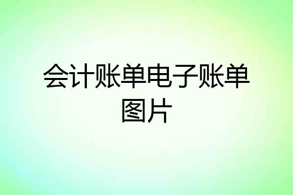 会计账单电子账单图片