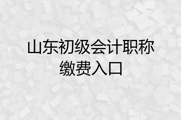 山东初级会计职称缴费入口