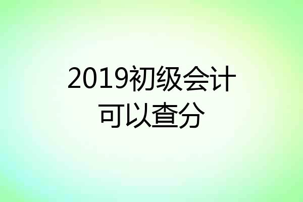 2019初级会计可以查分