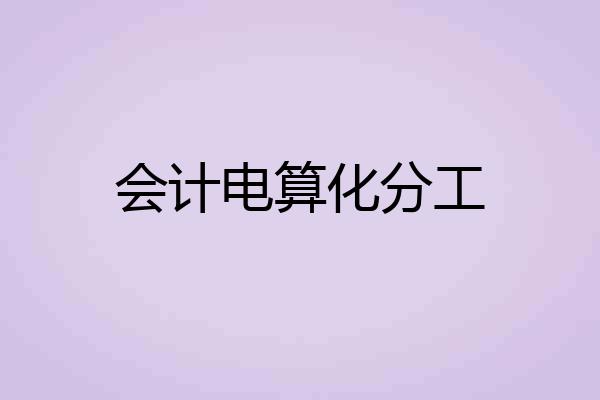 会计电算化分工