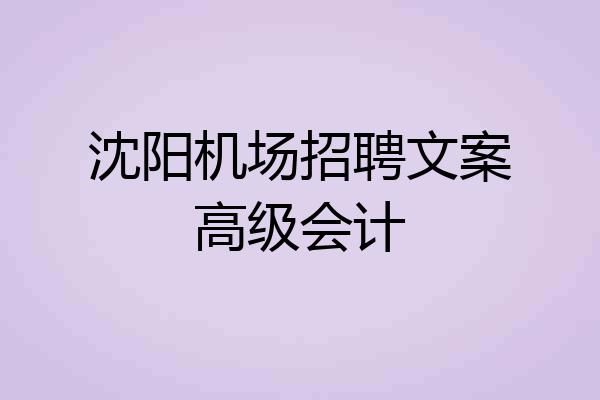 沈阳机场招聘文案高级会计