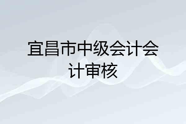 宜昌市中级会计会计审核