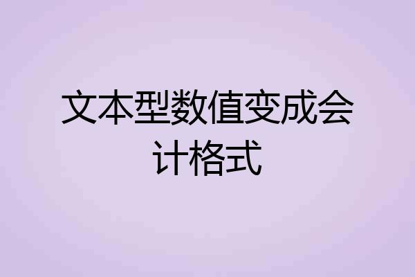 文本型数值变成会计格式