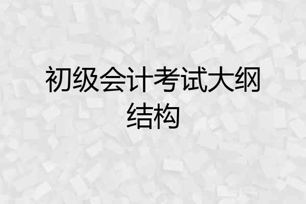 初级会计考试大纲结构