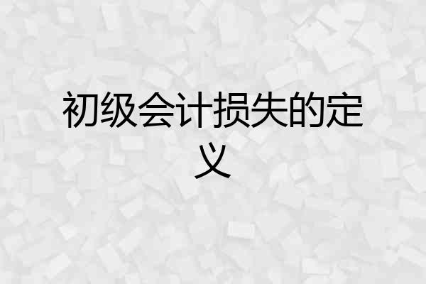 初级会计损失的定义
