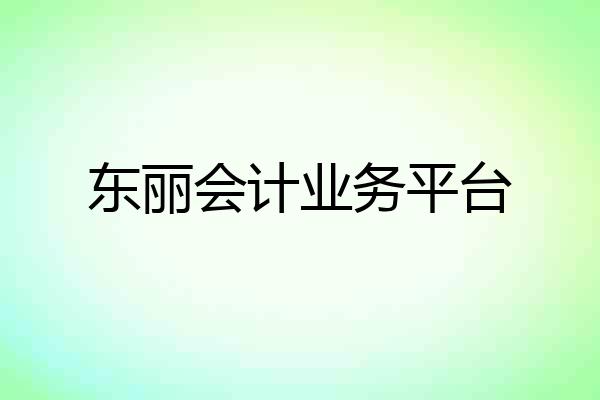 东丽会计业务平台