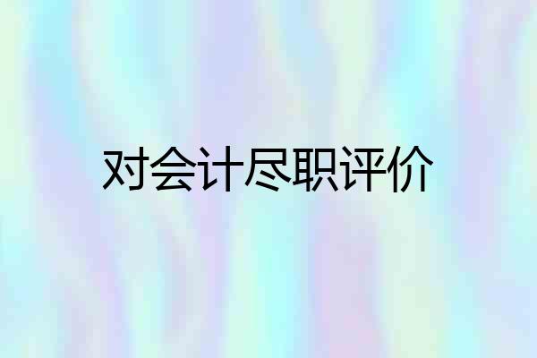 对会计尽职评价
