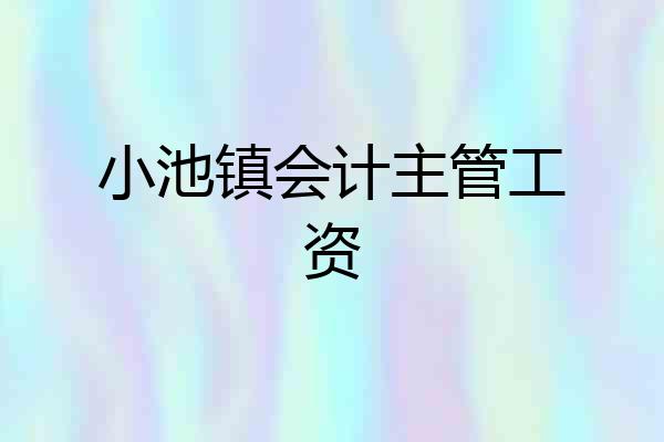 小池镇会计主管工资