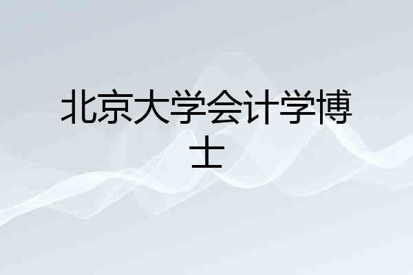 北京大学会计学博士