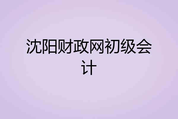 沈阳财政网初级会计