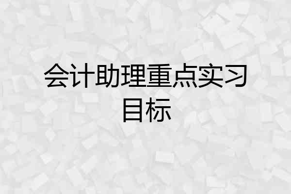 会计助理重点实习目标