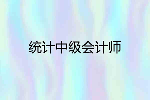 统计中级会计师