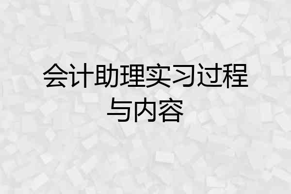 会计助理实习过程与内容