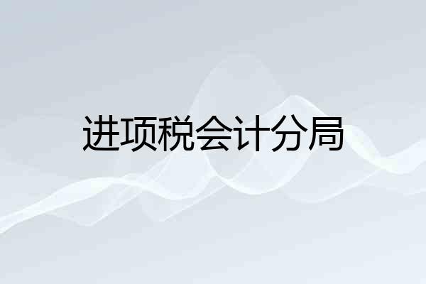 进项税会计分局