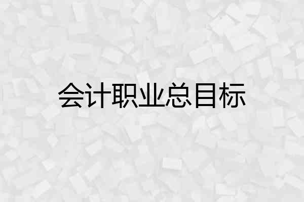 会计职业总目标