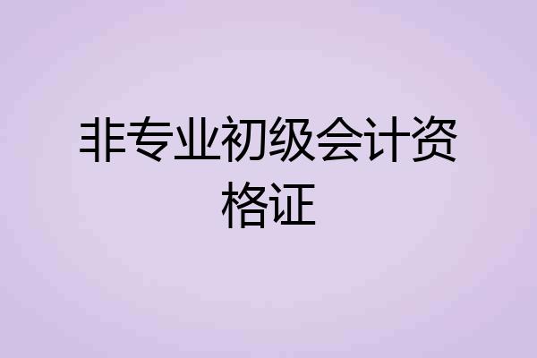非专业初级会计资格证