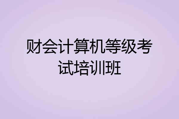 财会计算机等级考试培训班