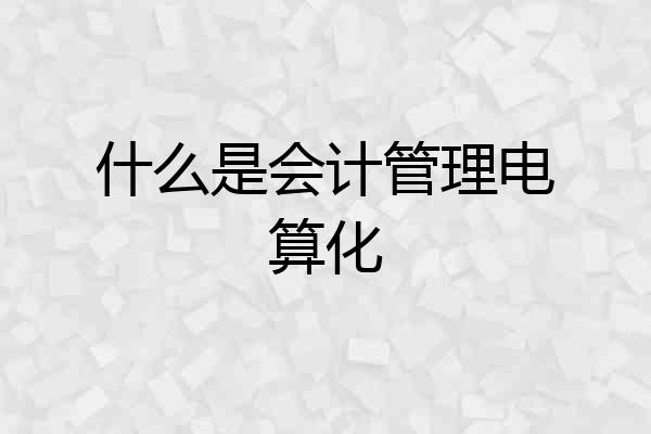 什么是会计管理电算化