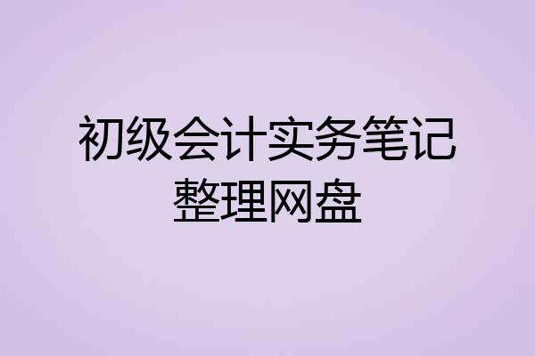 初级会计实务笔记整理网盘