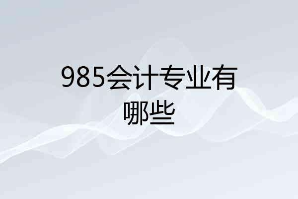 985会计专业有哪些
