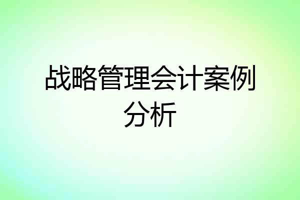 战略管理会计案例分析