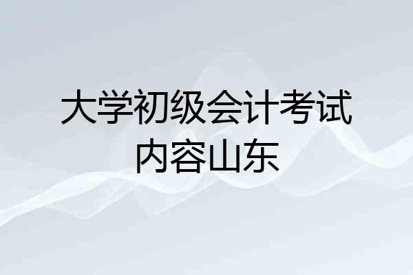 大学初级会计考试内容山东