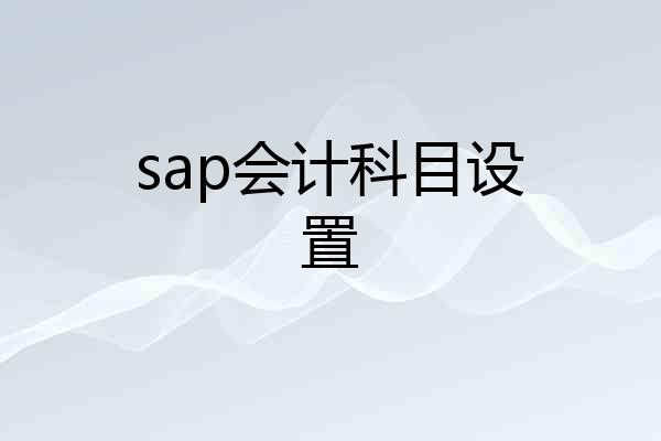 sap会计科目设置