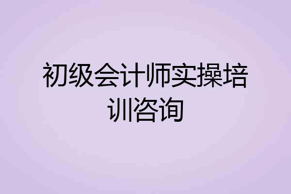 初级会计师实操培训咨询