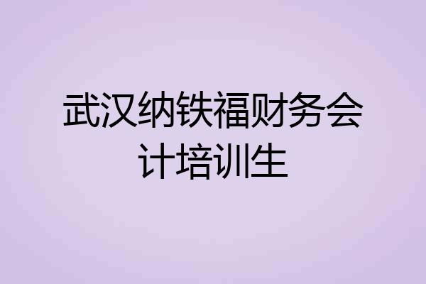 武汉纳铁福财务会计培训生