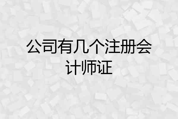 公司有几个注册会计师证