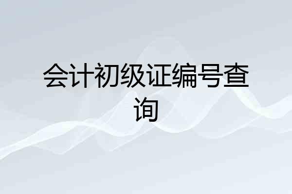 会计初级证编号查询