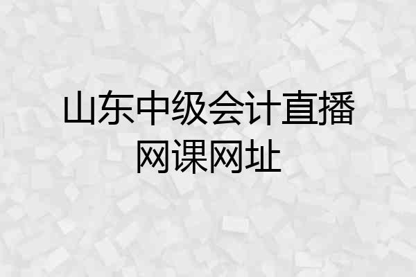山东中级会计直播网课网址