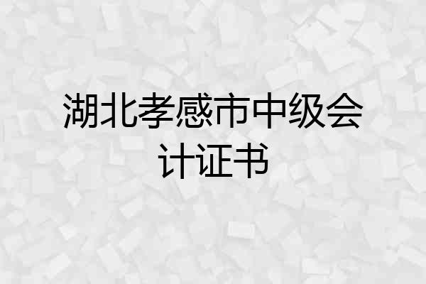 湖北孝感市中级会计证书