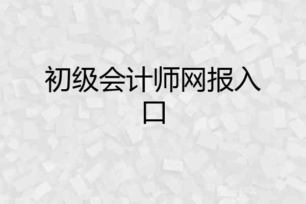 初级会计师网报入口