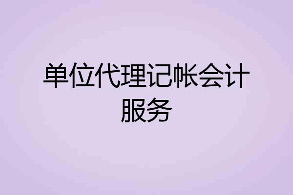 单位代理记帐会计服务